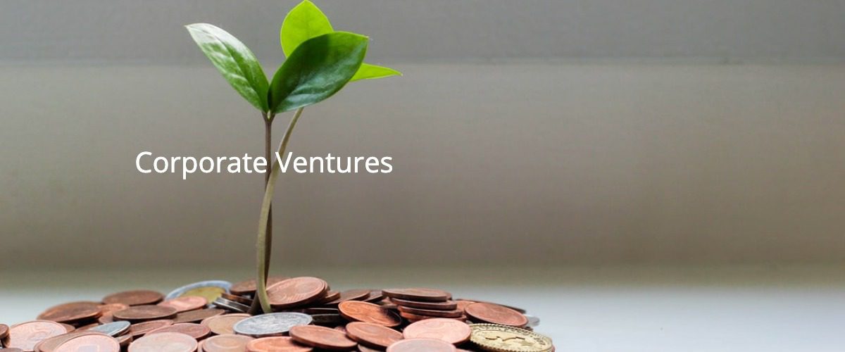 Corporate Innovation in 2022 – from Products to Ventures