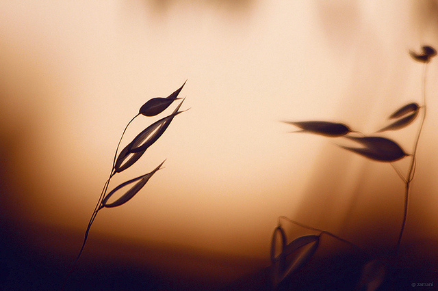 New year, new Hortal.com